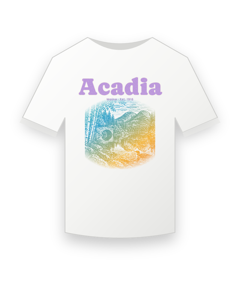 Acadia Jordan Pond Youth Tee