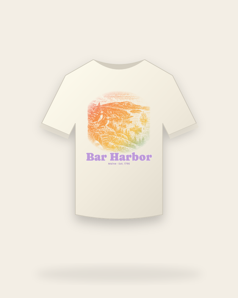 Bar Harbor Harbor Puffins Vintage Wash Tee