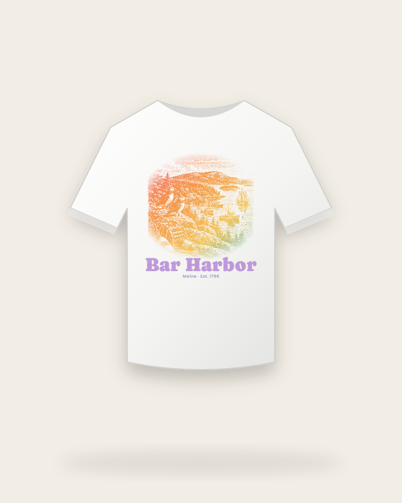 Bar Harbor Harbor Puffins Youth Tee