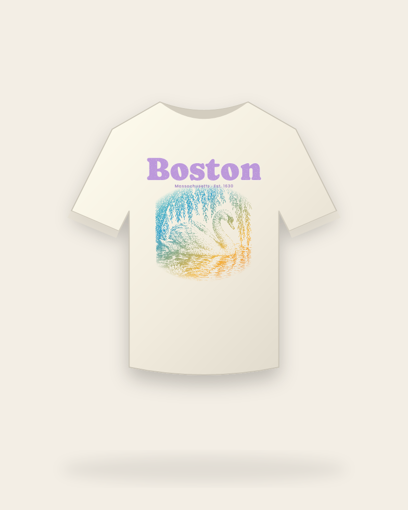 Boston Public Garden Swan Vintage Wash Tee