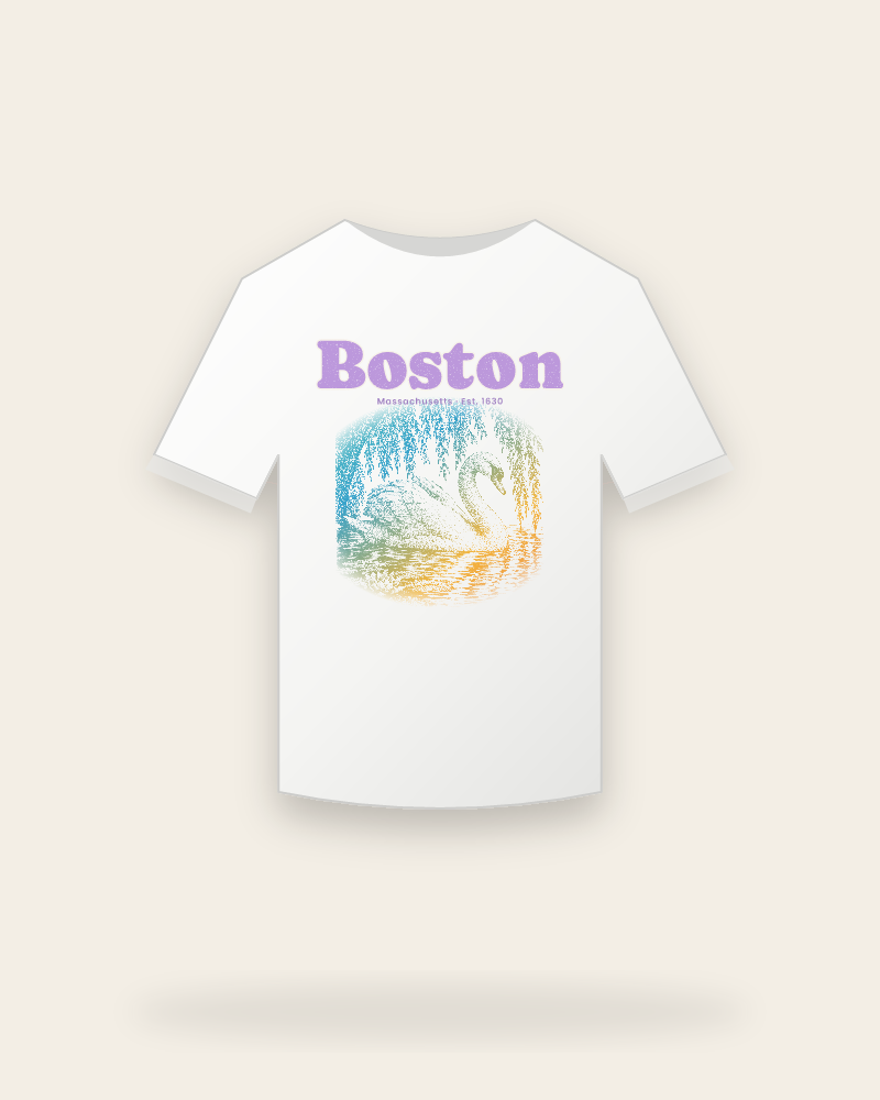Boston Public Garden Swan Youth Tee