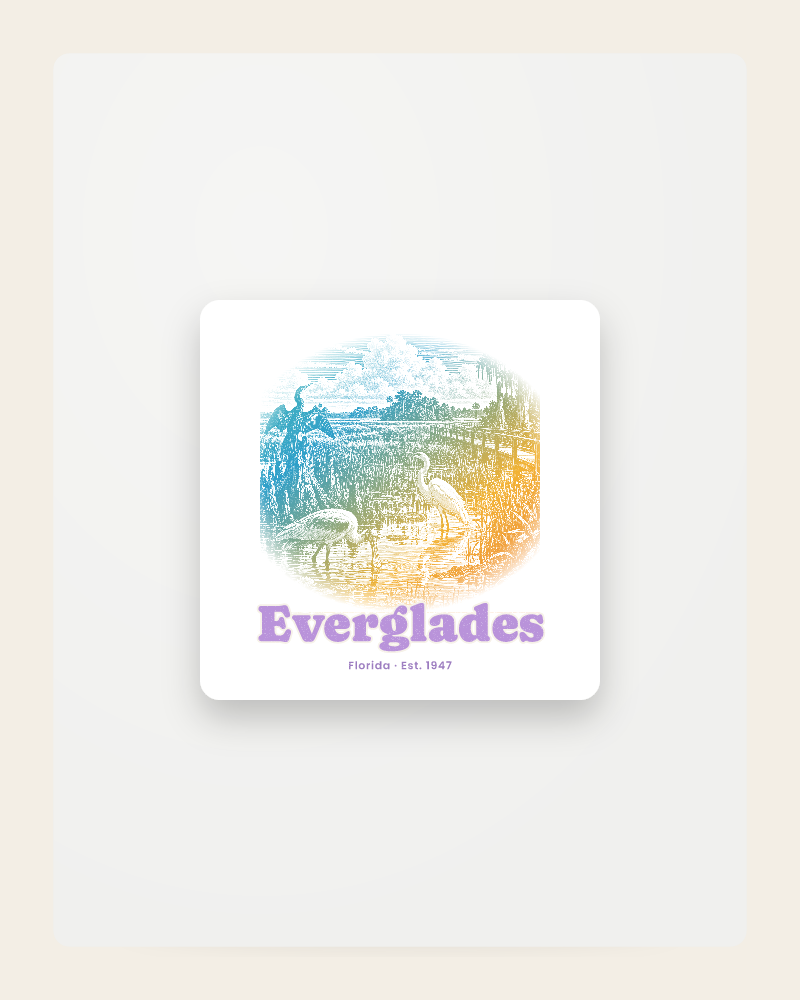Everglades Wading Birds Fridge Magnet