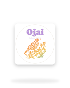California Quail