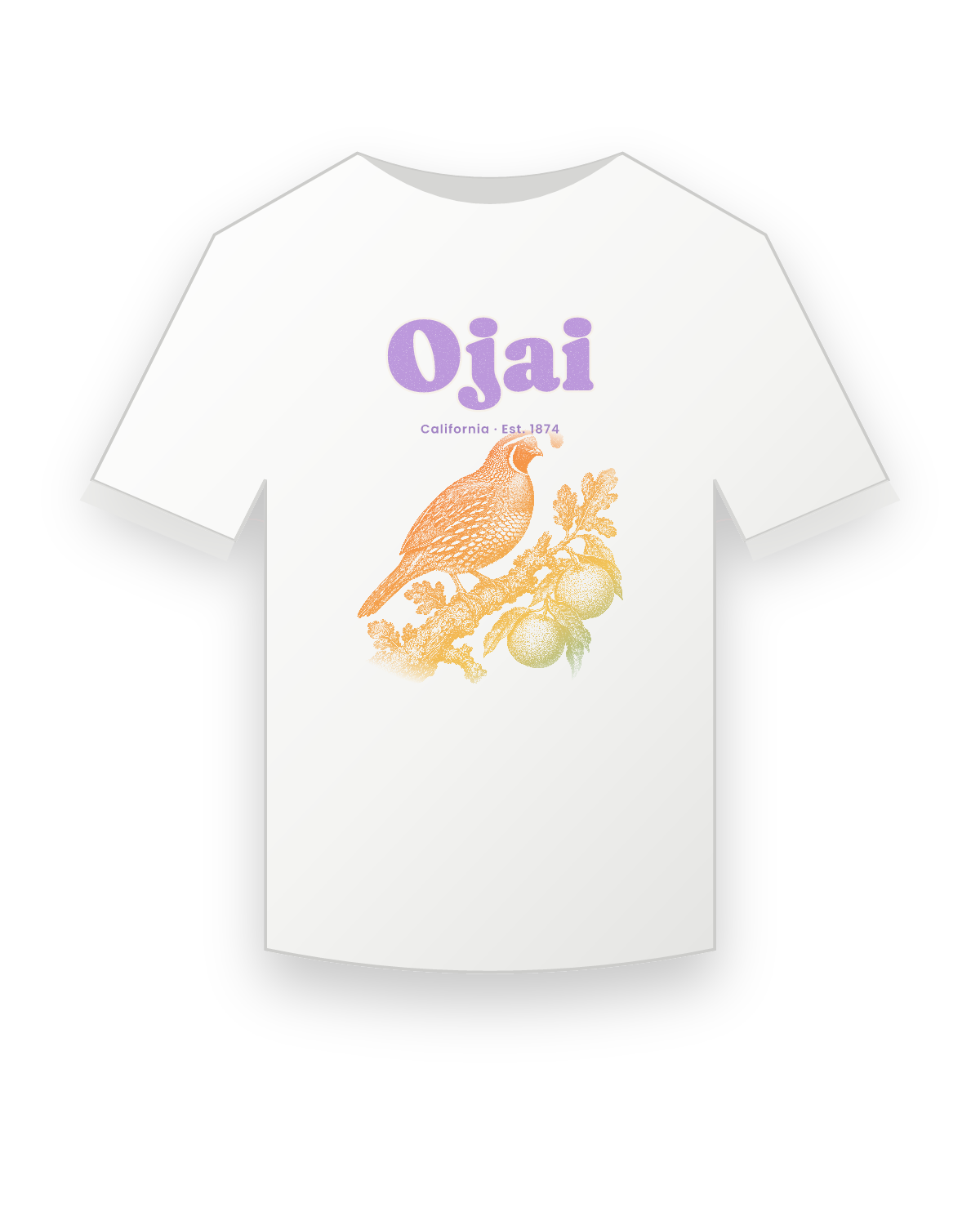 Ojai California Quail Youth Tee in White