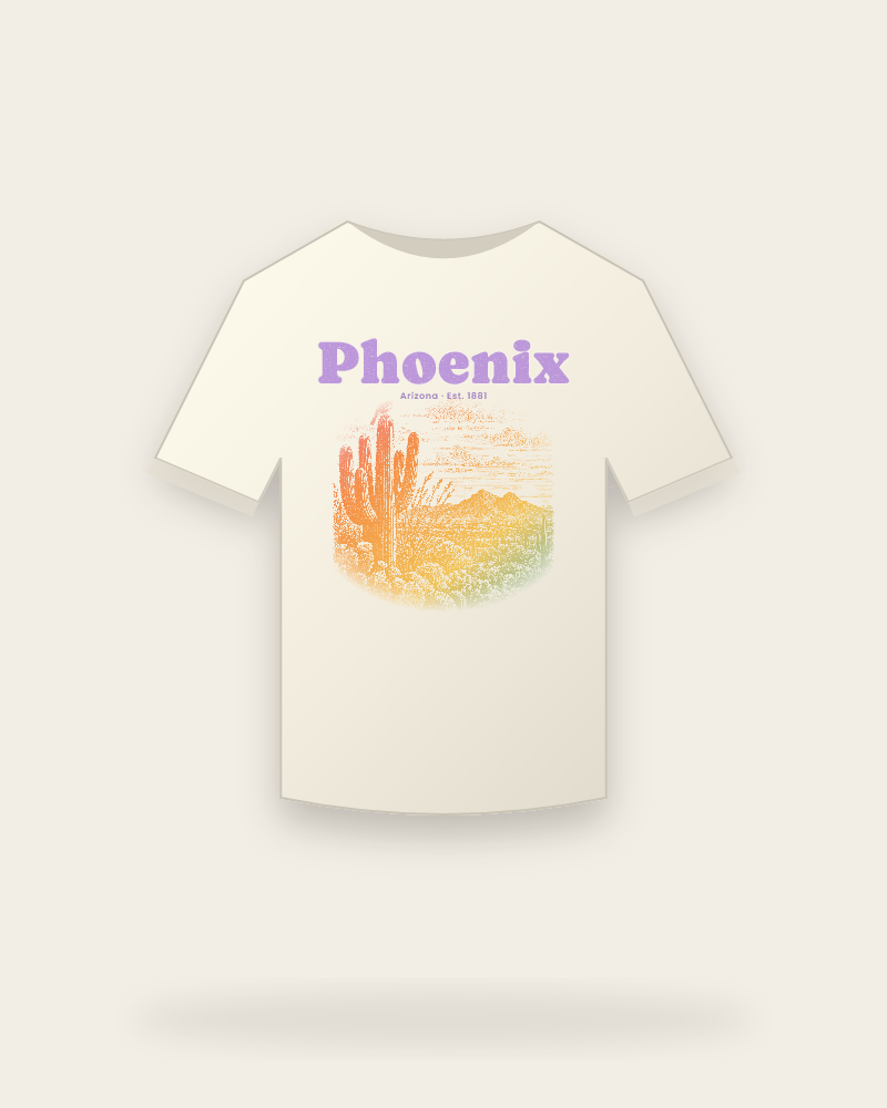 Phoenix Saguaro Sunset Vintage Wash Tee