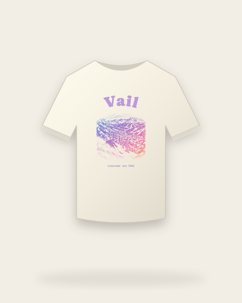 Vail Back Bowls Vintage Wash Tee